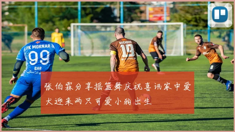 张伯霖分享摇篮舞庆祝喜讯家中爱犬迎来两只可爱小狗出生