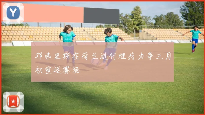 邓弗里斯在荷兰进行理疗力争三月初重返赛场