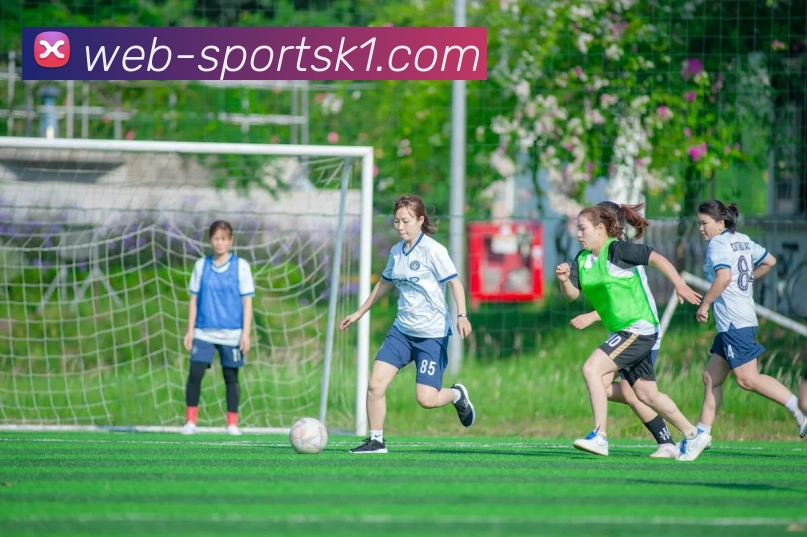 k1体育发展历程